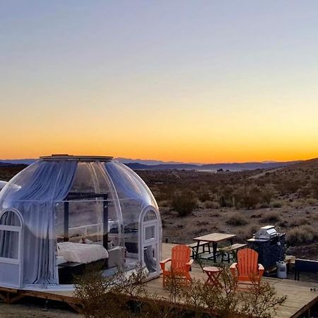 Jthavn-Joshua Tree Remote Dessert Bubble Dome Extérieur photo