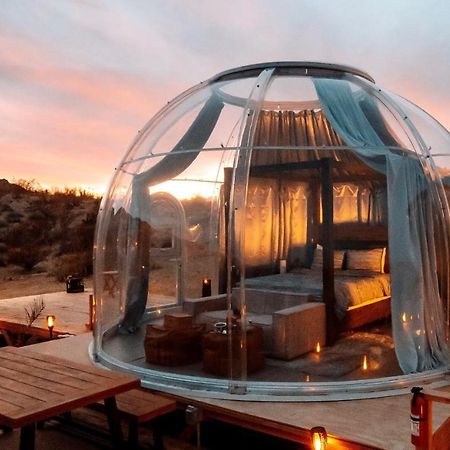 Jthavn-Joshua Tree Remote Dessert Bubble Dome Extérieur photo