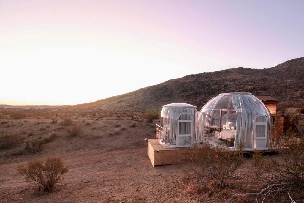 Jthavn-Joshua Tree Remote Dessert Bubble Dome Extérieur photo