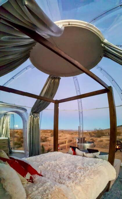 Jthavn-Joshua Tree Remote Dessert Bubble Dome Extérieur photo