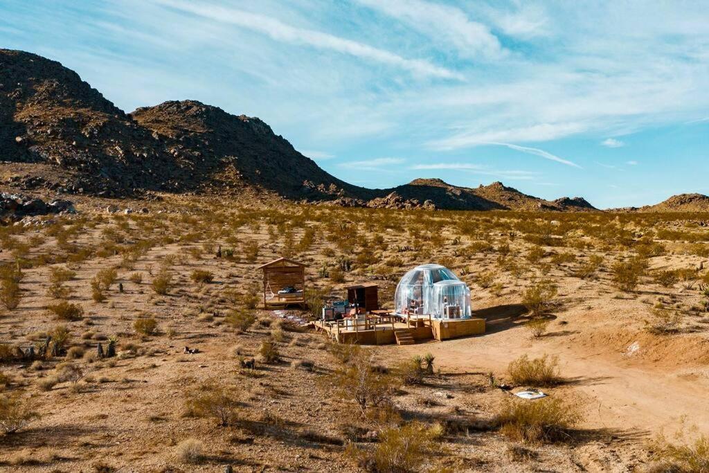 Jthavn-Joshua Tree Remote Dessert Bubble Dome Extérieur photo