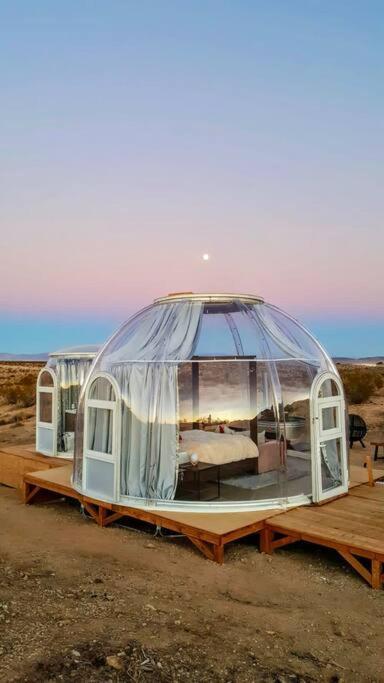 Jthavn-Joshua Tree Remote Dessert Bubble Dome Extérieur photo