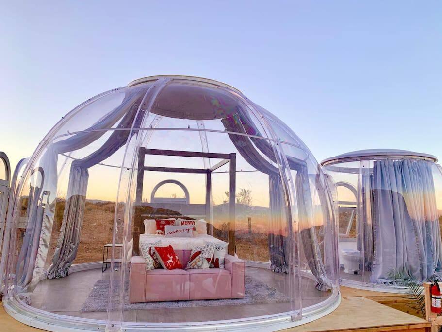 Jthavn-Joshua Tree Remote Dessert Bubble Dome Extérieur photo